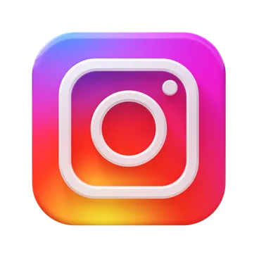 Instagram Video & Story Downloader | LiveReacting