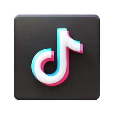 TikTok Video Downloader | LiveReacting